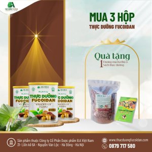 Combo 3 Hộp Thực dưỡng Fucoidan Tặng Sách Thực Dưỡng hoặc Đường mía Hà Thủ Ô